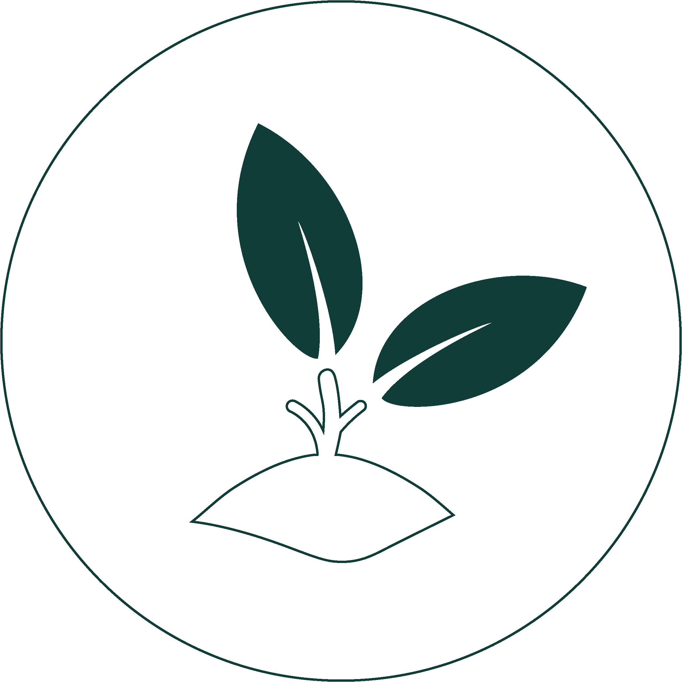 Plantation