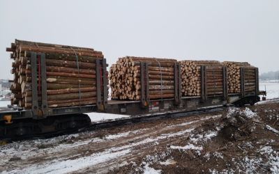 Gestion logistique liée à l’import/export de bois